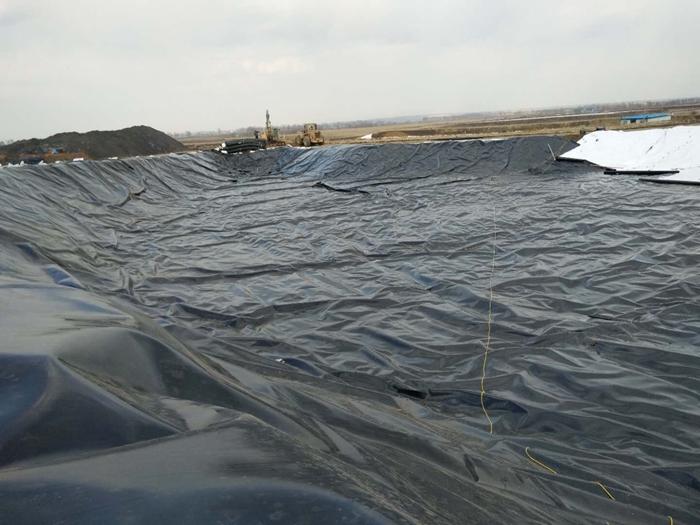 1635221713143093.jpg 30.jpg