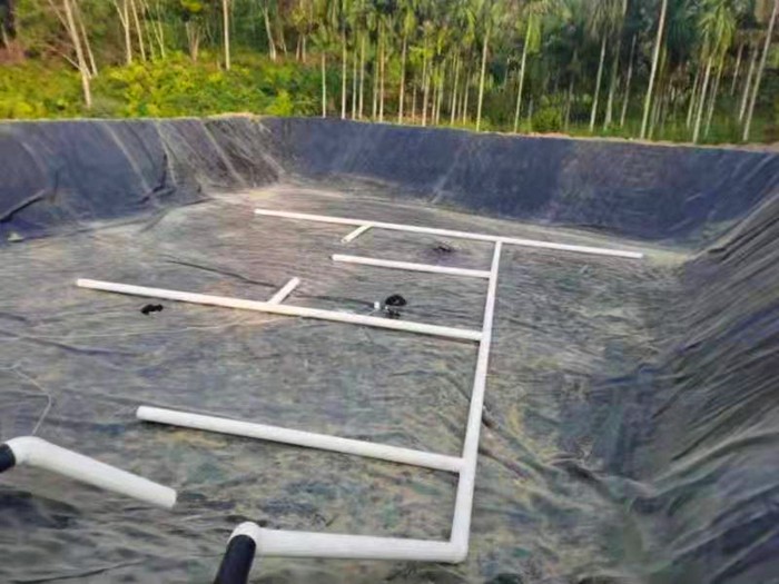 1659947557528466.jpg 氧化塘.jpg