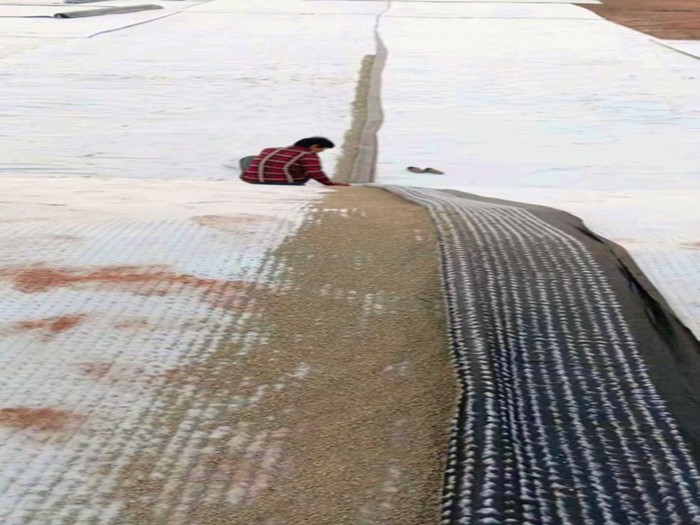 1676169728751374.jpg 防水毯施工现场.jpg