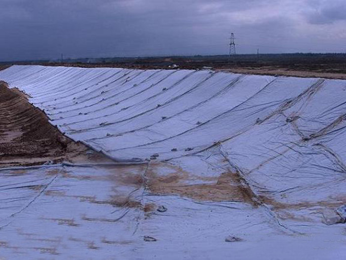 钠基膨润土防水毯