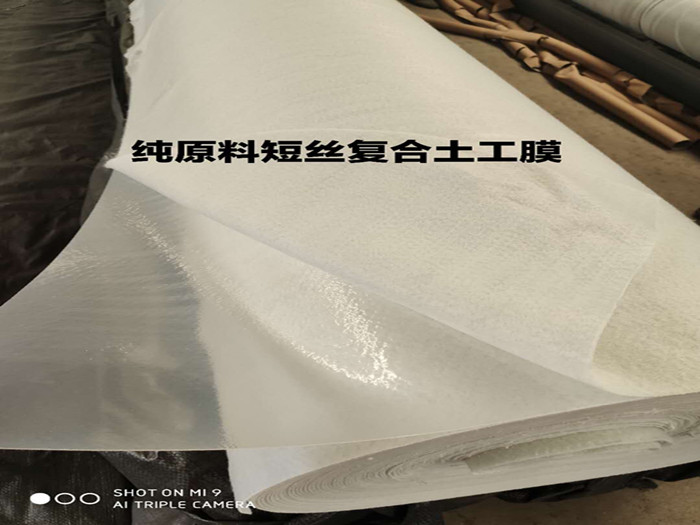 1676708621519065.jpg 15de68da825015cf90e024047c2bb0c_副本.jpg