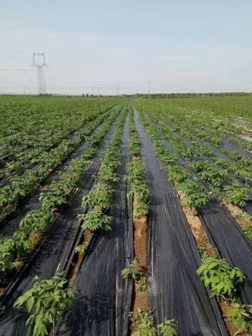 1703812953200137.jpg 微信图片_20210909142727.jpg